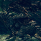 Image for article titled Dark Souls Player Conquers His Own, Tougher Version Of The Game